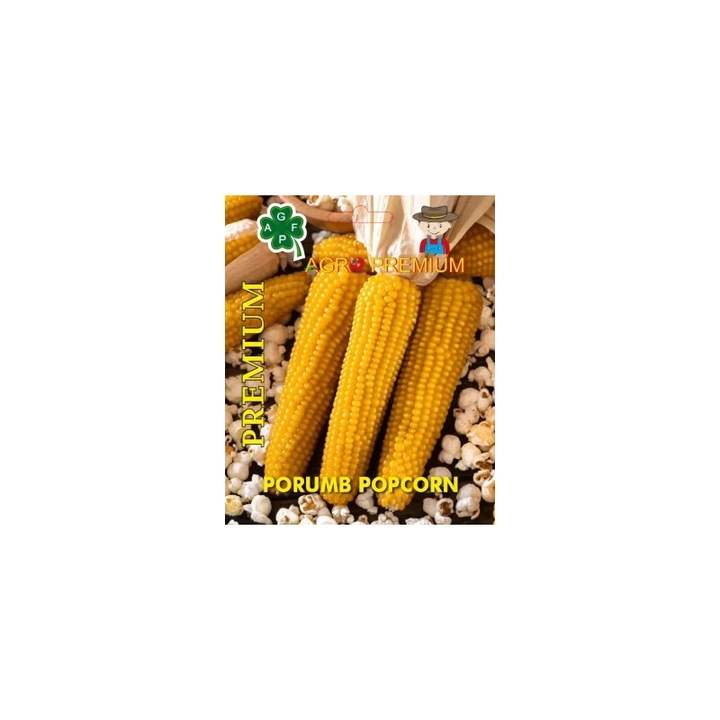 PACHET 5*Seminte de porumb pentru popcorn PLOMYK, 6g, AgroFermier