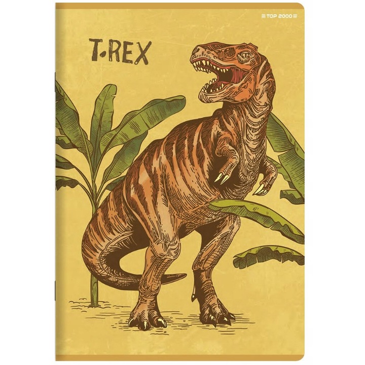 Füzet A5, HAMELIN, 32 lap, 10 minta, 70 g/m2, puha borítóval