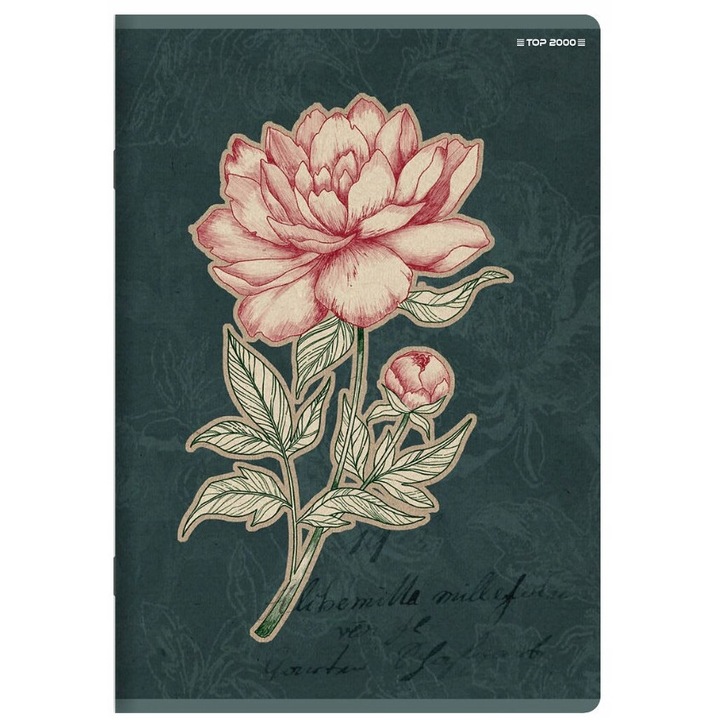 Füzet A5, HAMELIN, 32 lap, 10 modell, többszínű