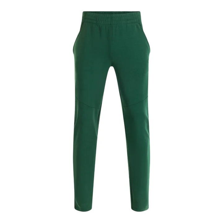 Pantaloni barbati Joma Indoor Gym verde, Verde