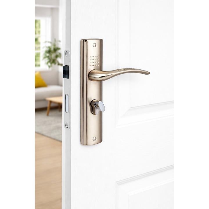 Broasca metalică de ușă cu mâner și butuc, buton interior, 3 chei, finisaj argintiu, 58 mm
