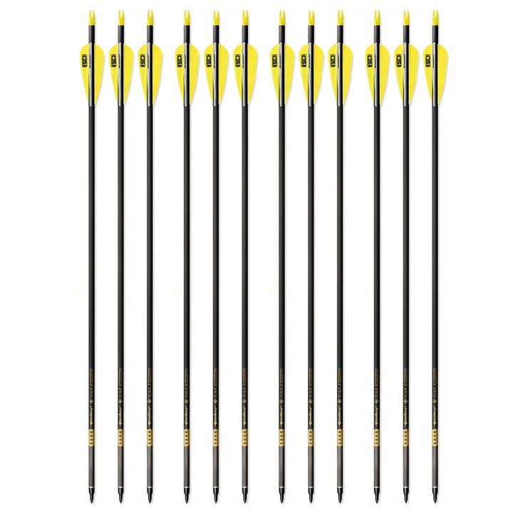 Set 12 Sageti pentru Arc Compound, tub de 6.2 mm din Fibra de Carbon, Spine 300, 32 inch lungime, 27 gr. sageata, Pandarus®
