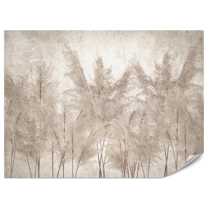 Fotótapéta Muralo Pampafű Boho 350x256 Természet Modern Hálószobába