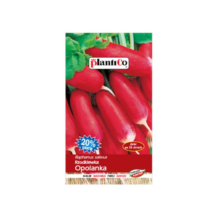 Seminte de ridiche Opolanka, PlantiCo, cilindrice, rosii, 0,02 kg
