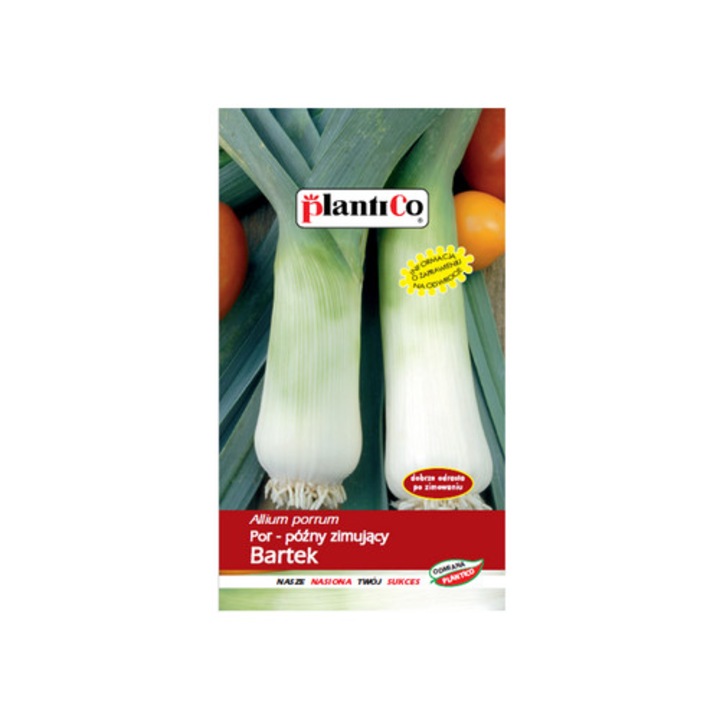Seminte de por, PlantiCo, Bartek, 9-10cm, 2,5-3,5cm