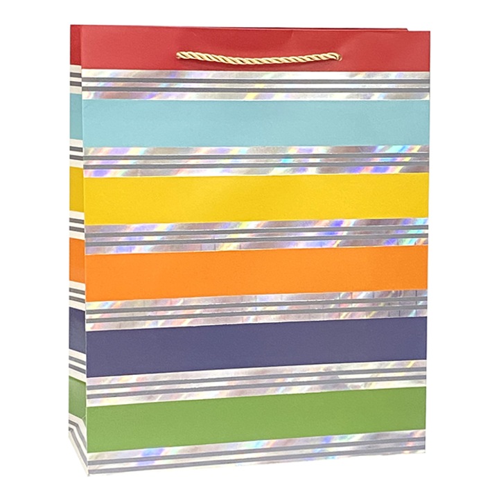 Punga cadou Multicolora, dimensiune 26*32*10 cm, Model 4, set 5 bucati
