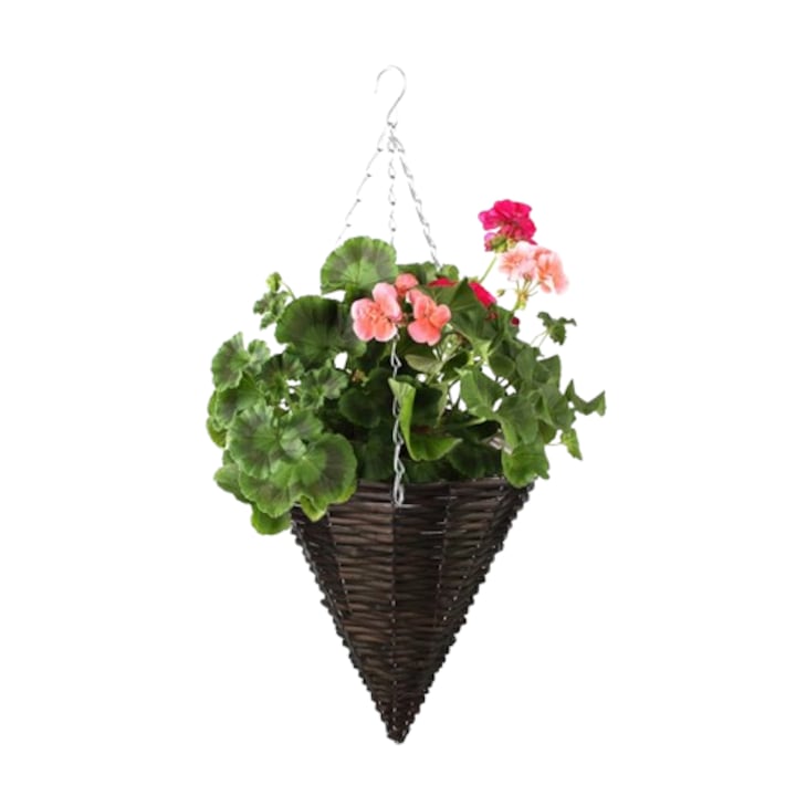 Cos conic wenge, YDL-180364 WN