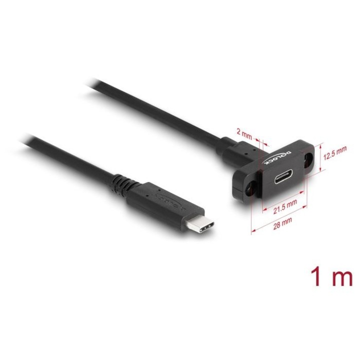 Cablu USB Type-C DeLock 10 Gbps, 1m, negru, male la female, montare pe panou