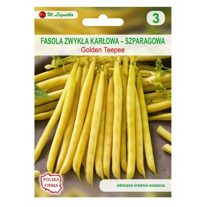 Fasola obisnuita karlowa Golden Teepee, Legutko, 35 g, seminte traditonale