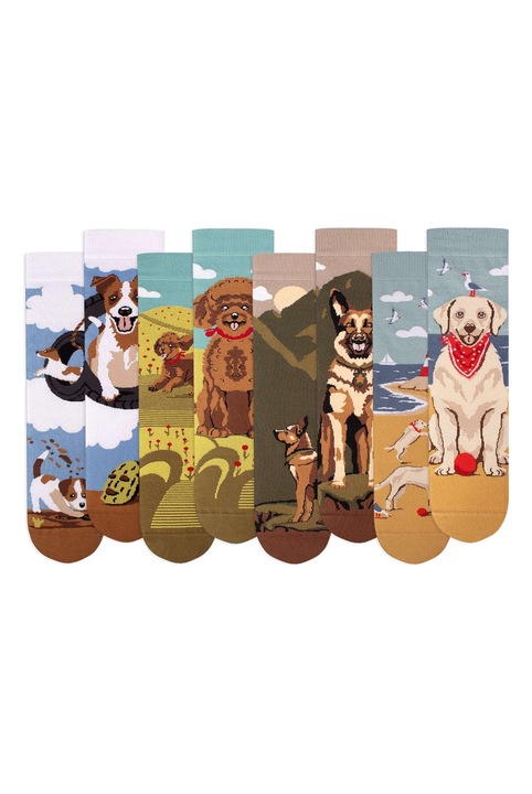 Кутия с 4 чифта памучни чорапи Arty Socks Кучета