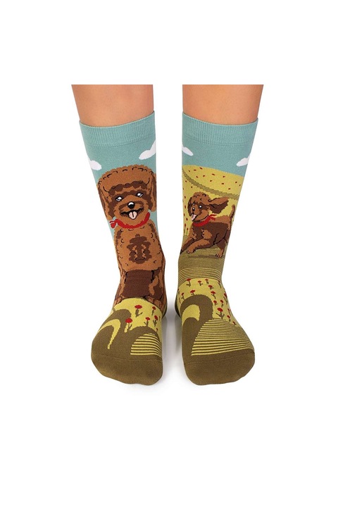Памучни чорапи Arty Socks с пудел