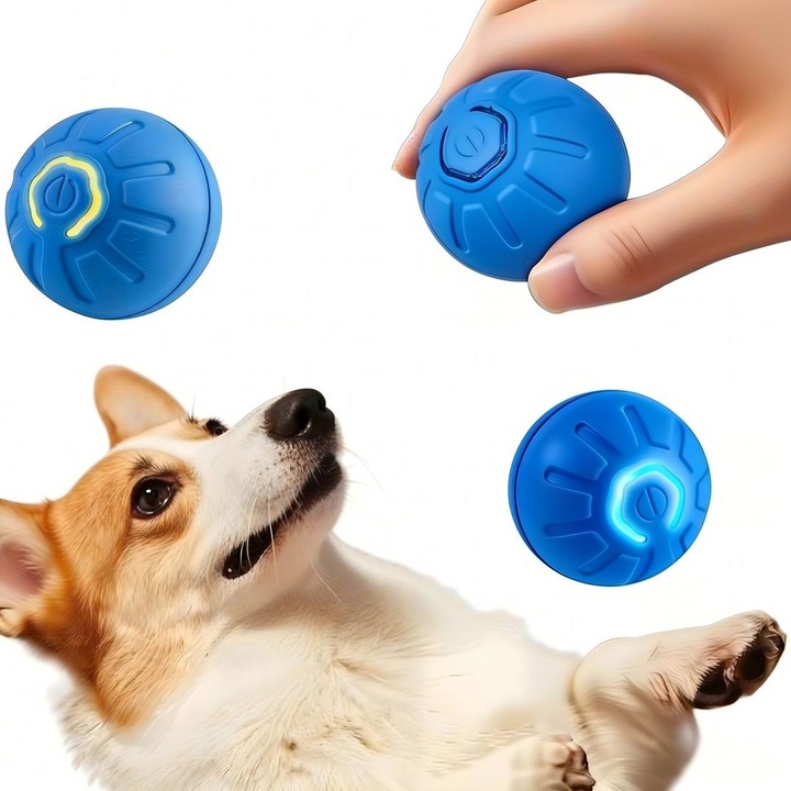 Kisállat játék, interaktív labda macskáknak és kistestű kutyáknak, Type-C tölthető, biztonságos szilikonból