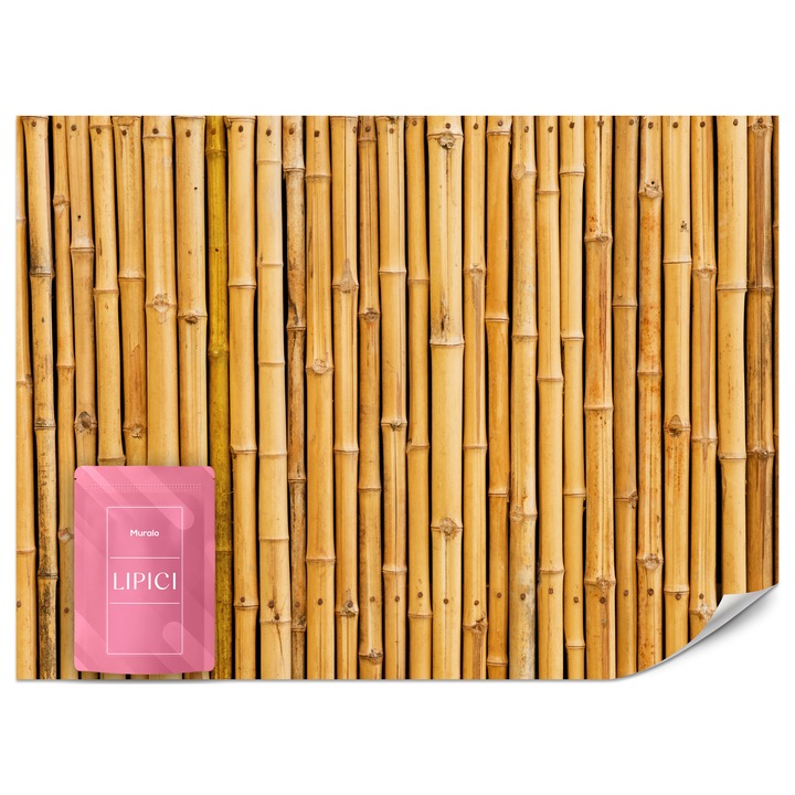 Fototapet Muralo Perete Din Bambus 400x280 Natura Pentru Living Modern