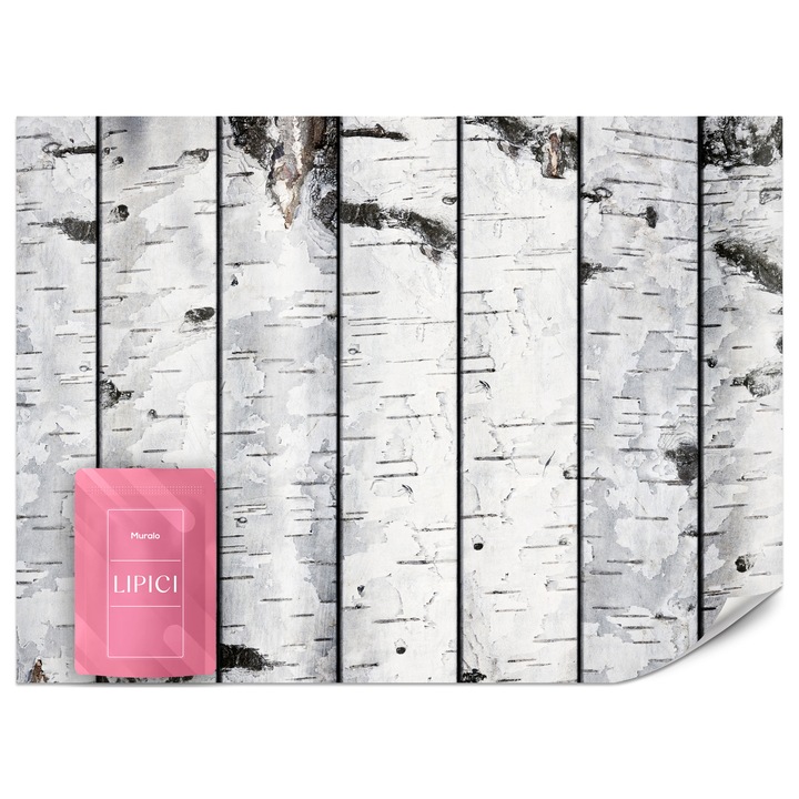 Fototapet Muralo Plopi Copaci Natura 450x315 Padure Pentru Living Modern