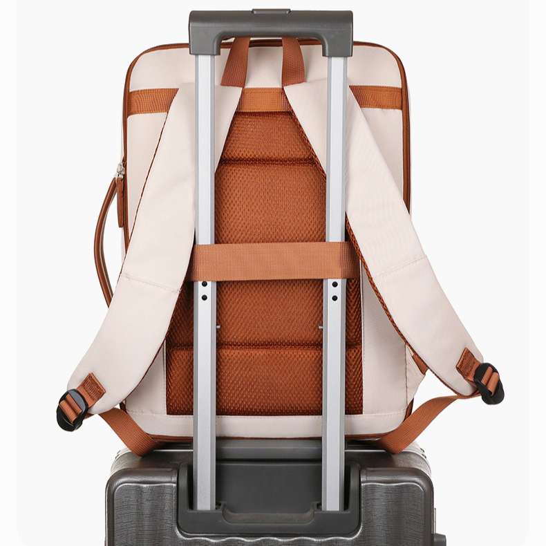 Rucsac, Aiorber, husa pentru laptop, incarcare USB, rezistent la stropire, design cu separare uscat/umed, maner de transport, 31 x 12 x 42 cm, rezistent la stropire, tesatura Oxford, roz