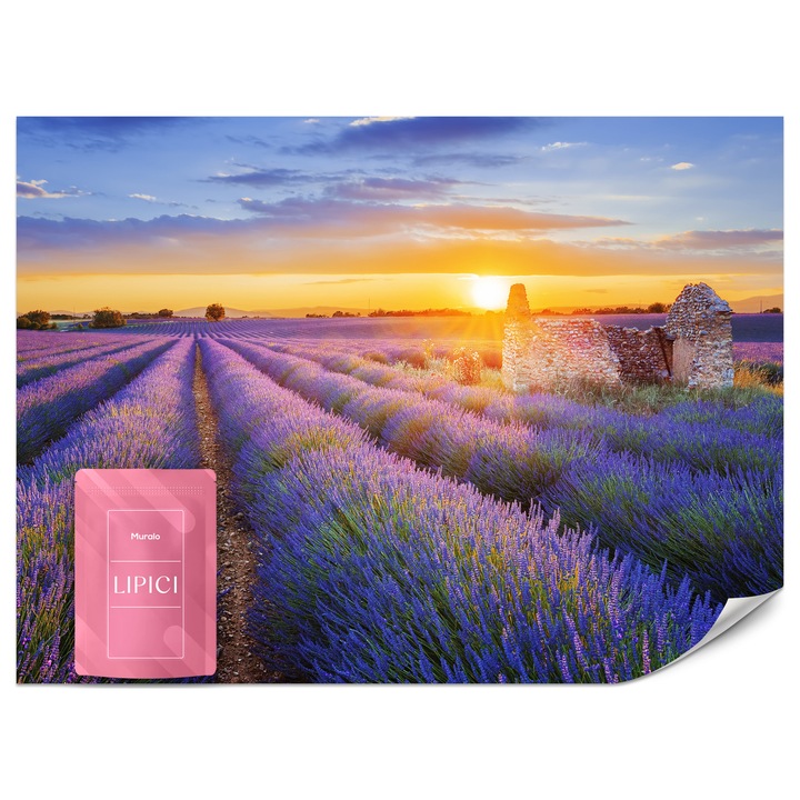 Fototapet Muralo Camp De Lavanda 250x175 Peisaj Natura Pentru Living Modern