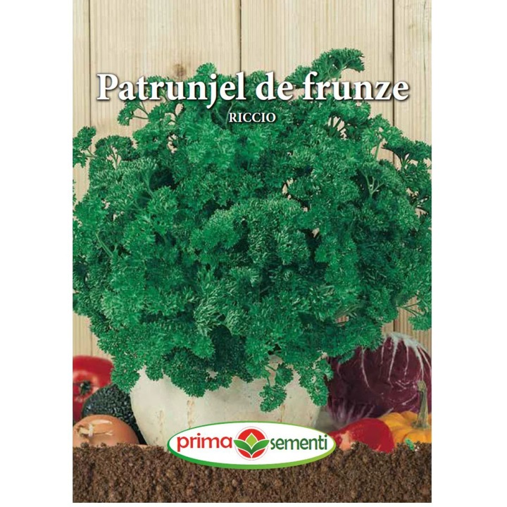 Seminte de patrunjel frunze RICCIO, 5 grame, Prima Sementi