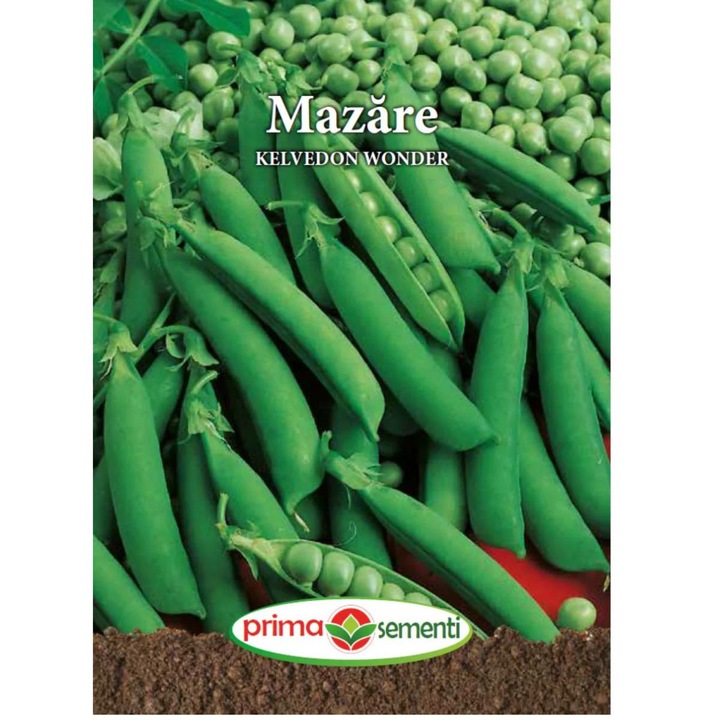Seminte de mazare KELVEDON WONDER, 20 grame, Prima Sementi