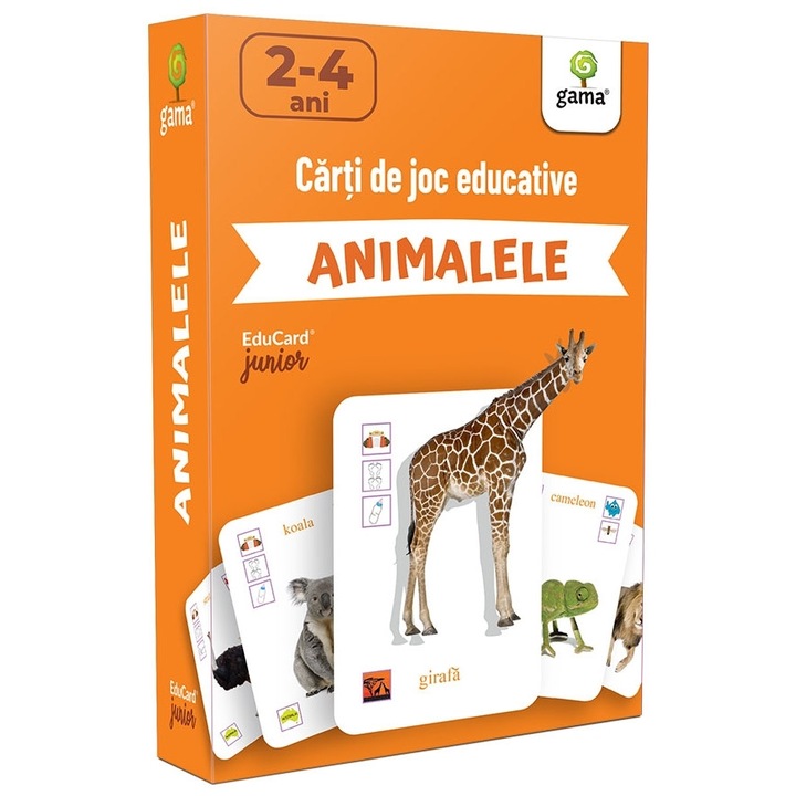 Carti de Joc Educative pentru Copii, Avaleea, EduCard Junior, Animalele, 48 carduri, 1-4 ani