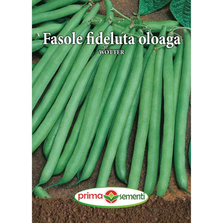 Seminte de fasole oloaga WOTTER 100 grame Prima Sementi
