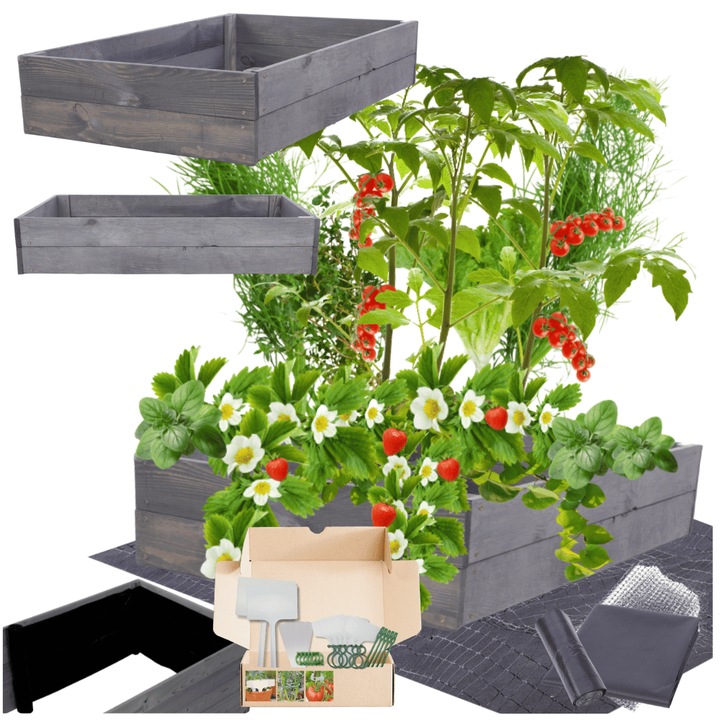 Gradina ridicata MODO24, 18x60x60cm, lemn impregnat, gri