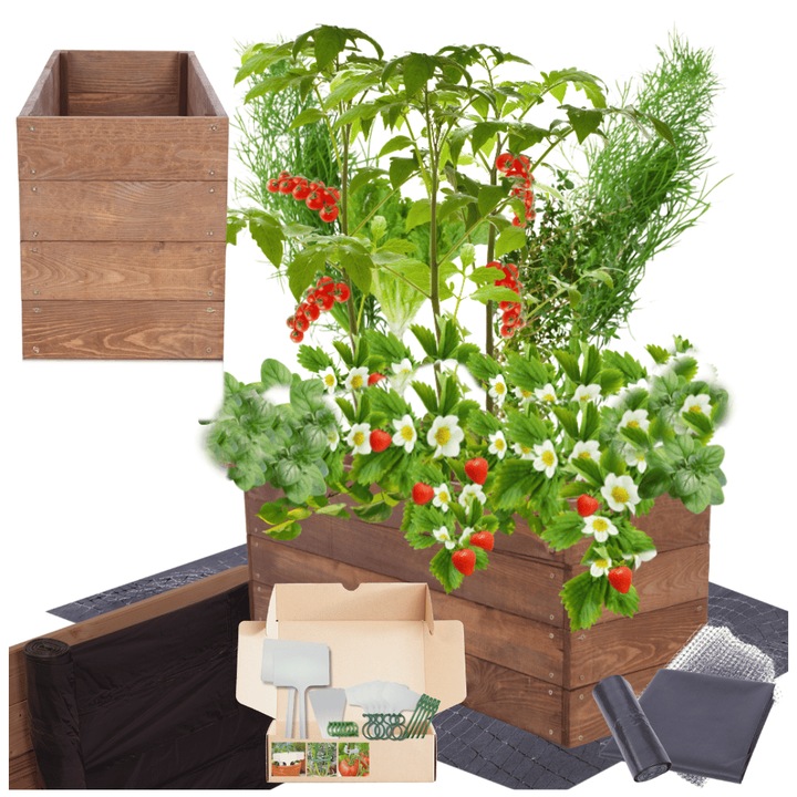 Gradina ridicata MODO24, 36x100x30cm, lemn, maro, set pentru cultivare legume si flori