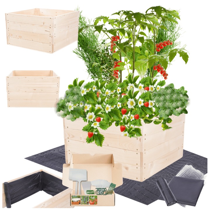 Gradina ridicata MODO24, 36x60x60cm, lemn, bej