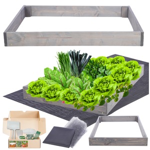 Ghivece si suporturi