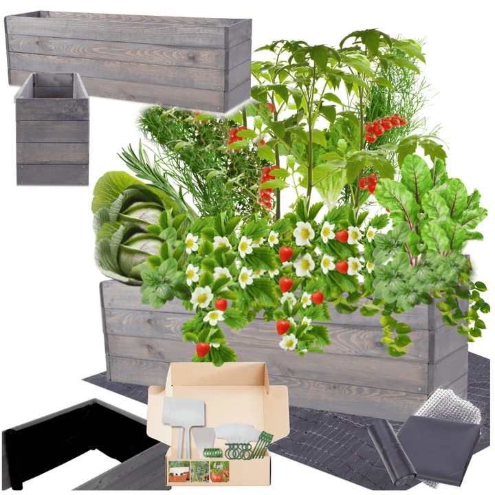 Gradina ridicata MODO24, 36x120x30cm, lemn, gri