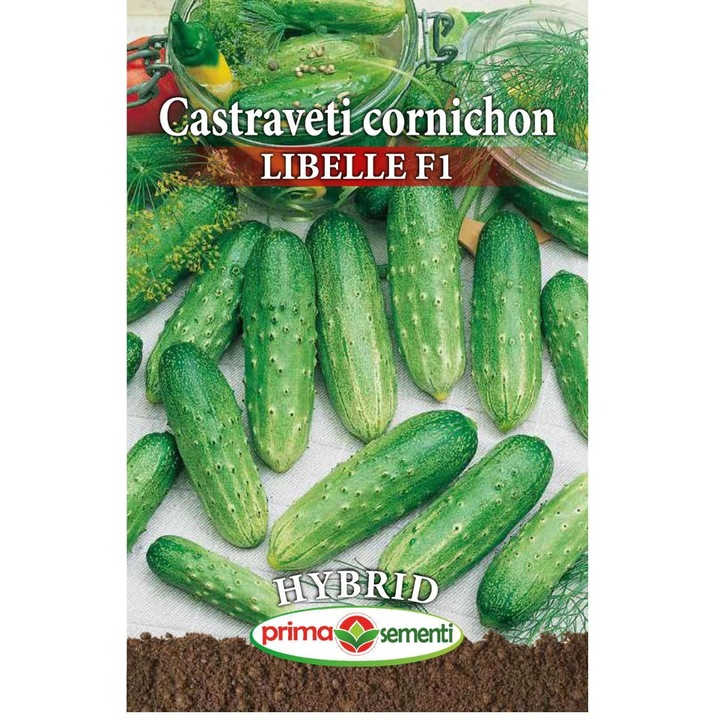 Seminte de castraveti, Prima Sementi, 1 gram