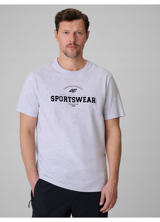 Férfi póló, 4F, pamut, szürke, regular, mintás, S INTL