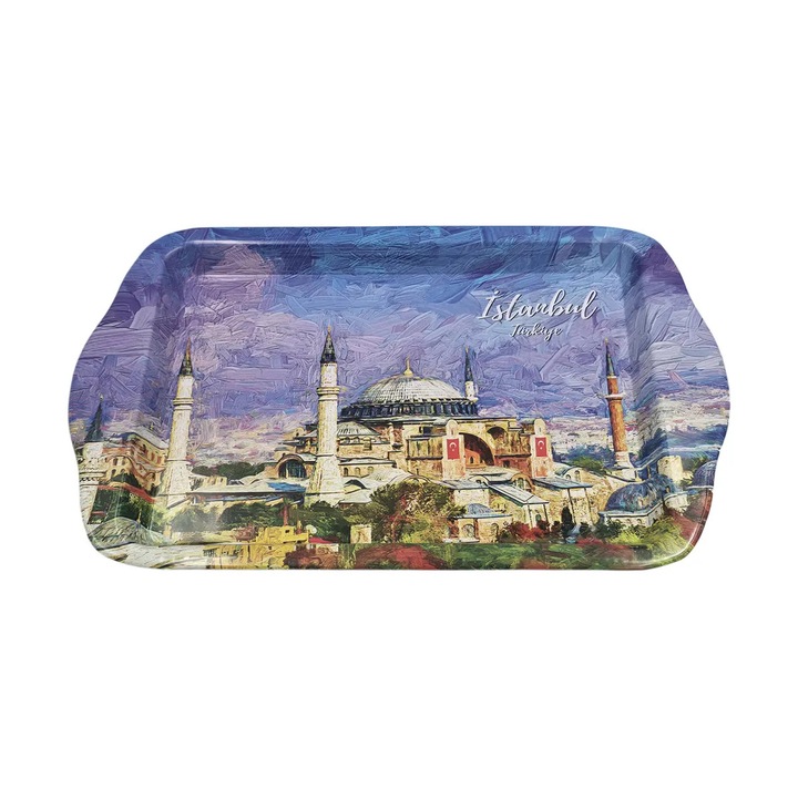 Tavita pentru servit metalica model colorat, l25xl16xh1.6 cm, EHA - Model 2