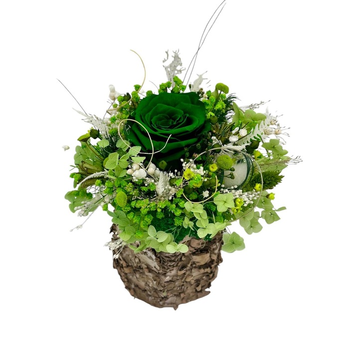 Aranjament floral mic cu licheni naturali stabilizati, trandafir criogenat si plante naturale criogenate si stabilizate in scoarta de mesteacan, Eventissimi, Small Birch Bark Floral Decor