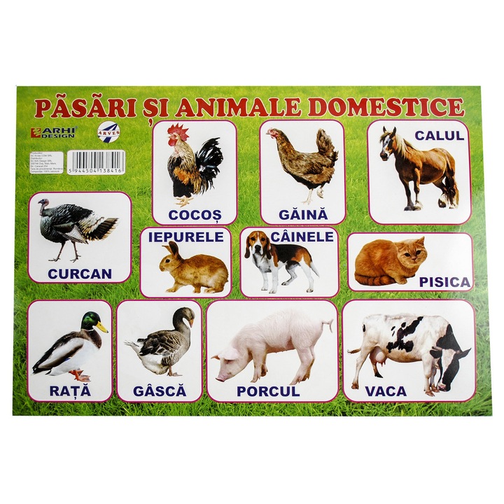 Plansa pasari si animale domestice A4 din carton cu lacuire UV, set 5 bucati