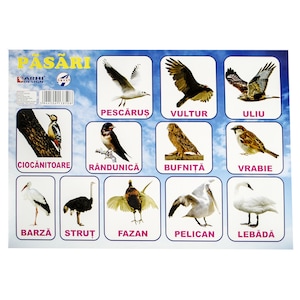 Manuale si auxiliare scolare