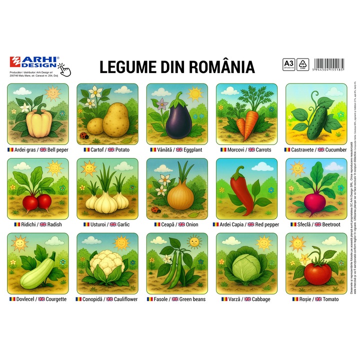 Plansa Legume A3, set 5 bucati