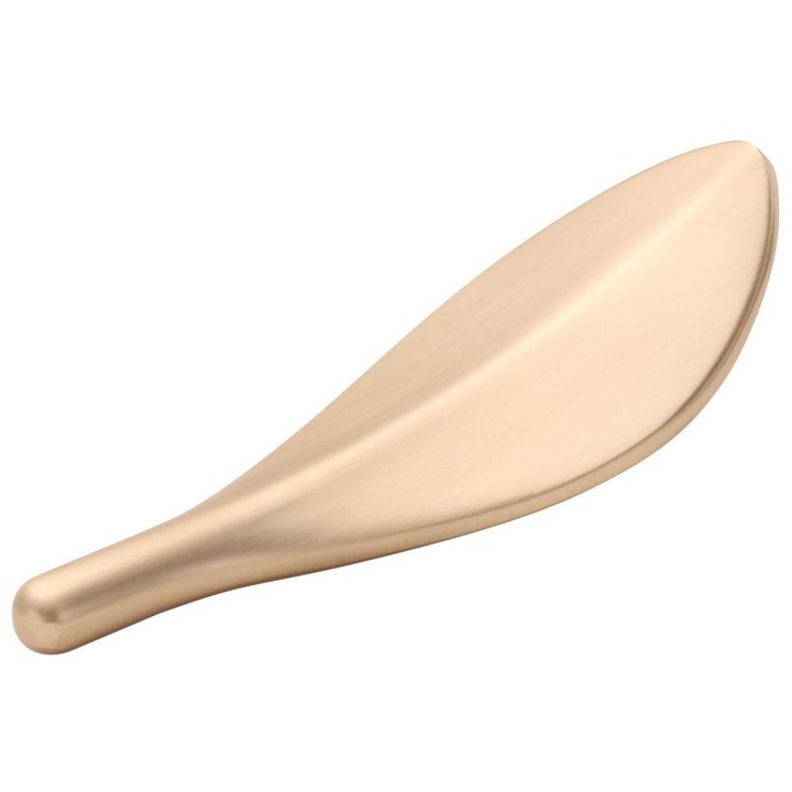 Cuier, IDEAL FEROLUC, Auriu, Mat, Design Robusț