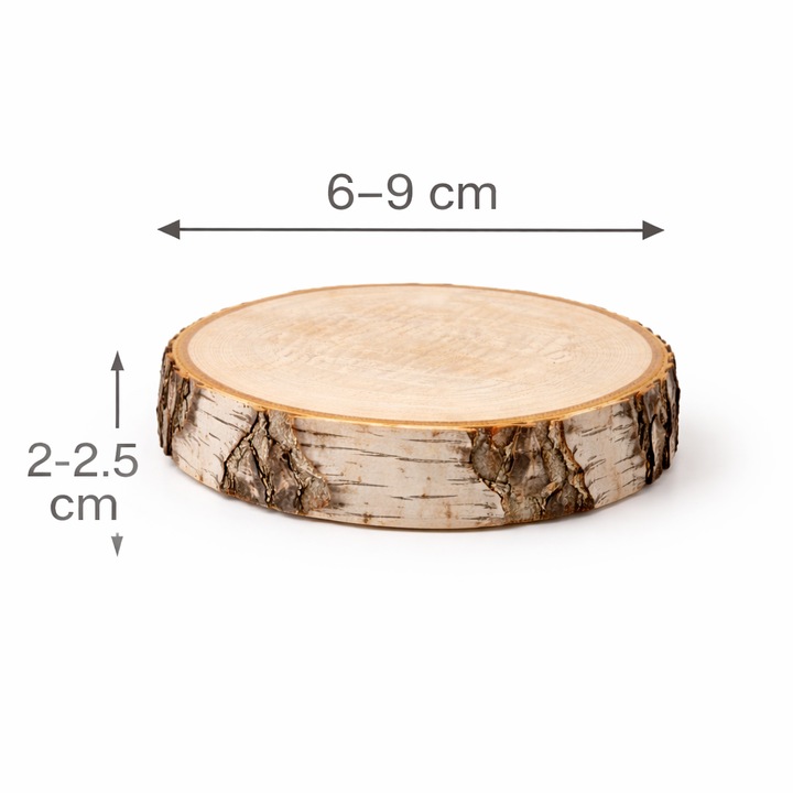 Disc din lemn natural de mesteacan – stil rustic DIY DIAMTERU 6-9 CM