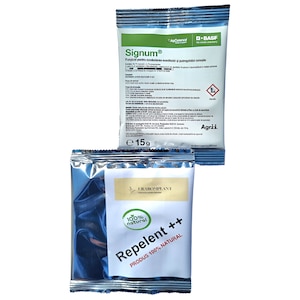 Pamant flori, ingrasaminte si pesticide