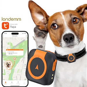 Supraveghere si garduri invizibile