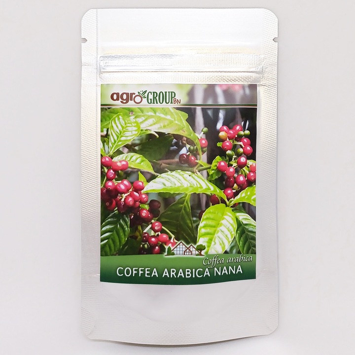 Seminte de Arbore de Cafea Coffea Arabica Nana - Agro Group BN