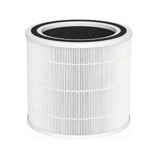 PUREBURG Filtre HEPA + Charbon Actif Compatible Rowenta Intense Pure Air XL PU60XX