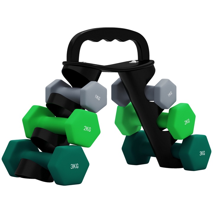 SPORTNOW Set 6 Gantere (2x1 kg, 2x2 kg, 2x3 kg) de 12 kg cu Suport/Kettlebell, din Metal si Plastic Multicolor