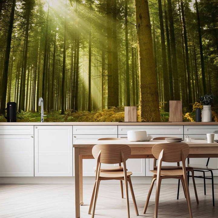 Fototapet Rezistent la apa - Pine forest - 500 x 350 cm