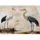 Fototapet Artgeist Premium Engraved Birds, 100x70 cm, rezistent la apă, multicolor