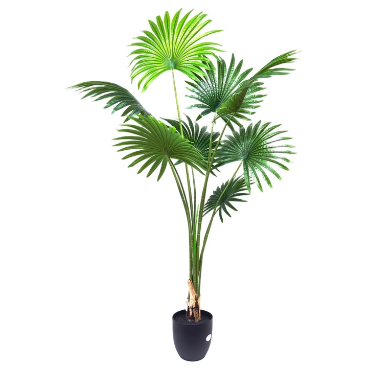 Caui palmier bambus? Alege din oferta eMAG.ro