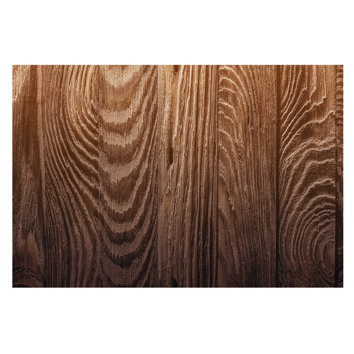 Tapéta Vlies Fali Dekoráció, Tulup, Fa gyűrűk, Barna, 104 x 70 cm, Nem Szőtt, Erős Ragasztó, 010100060020000282498