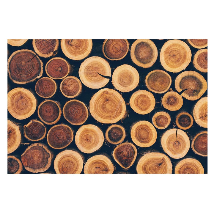 Tapéta Falra, Tulup, Fa körök, Barna, 104 x 70 cm, Vlies, Öko, 010100060020000074617
