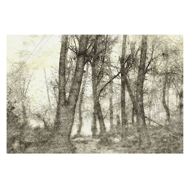 Dekor Tapéta, Tulup, Erdei melankólia, Fekete és fehér, 104 x 70 cm, Nem Szőtt, Nappaliba, Szobába, 010100060020000282787