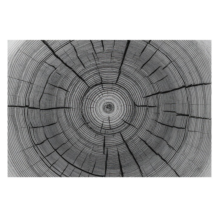 Tapéta Vlies Fali Dekoráció, Tulup, Erdő harmóniája, Fekete és fehér, 104 x 70 cm, Nem Szőtt, Előszobába, Nappaliba, 010100060020000285011